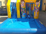Castillo hinchable Tobog�n acu�tico Amazonas peque�o