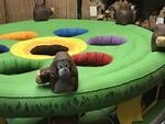 Alquileres Hinchables de Juegos Aplasta un Topo en Madrid
