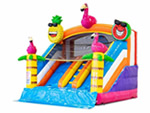 Alquileres de Castillos Hinchables para ni�os en Madrid