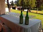 Escanciadores de sidra profesionales en Madrid